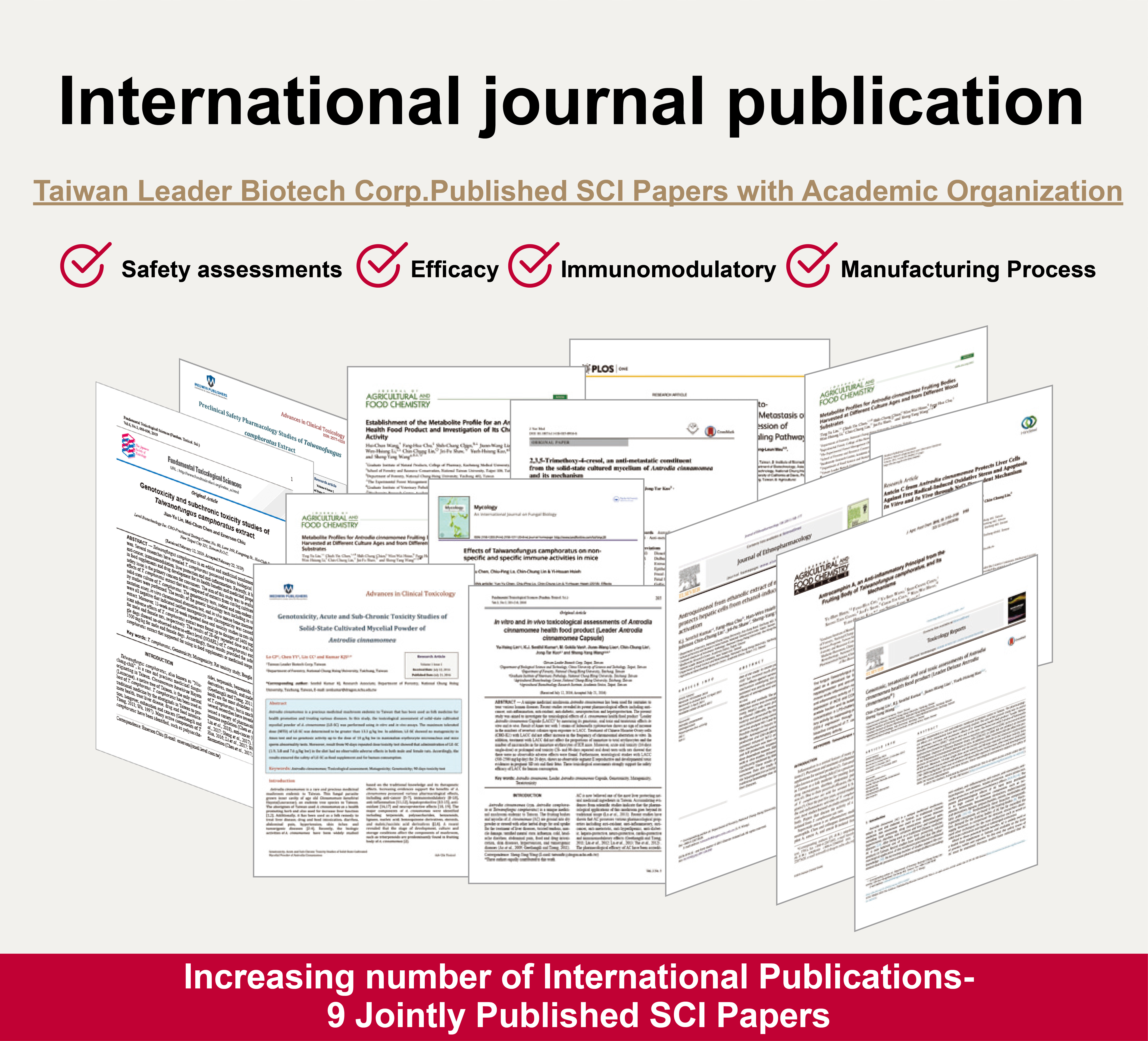 專利及期刊發表(更新)-en0417_International journal publication