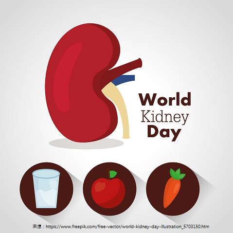 world kidney day card health food water care