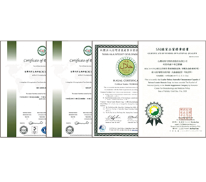 榮譽獎項-完稿_ISO22000 HACCP HALAL SNQ